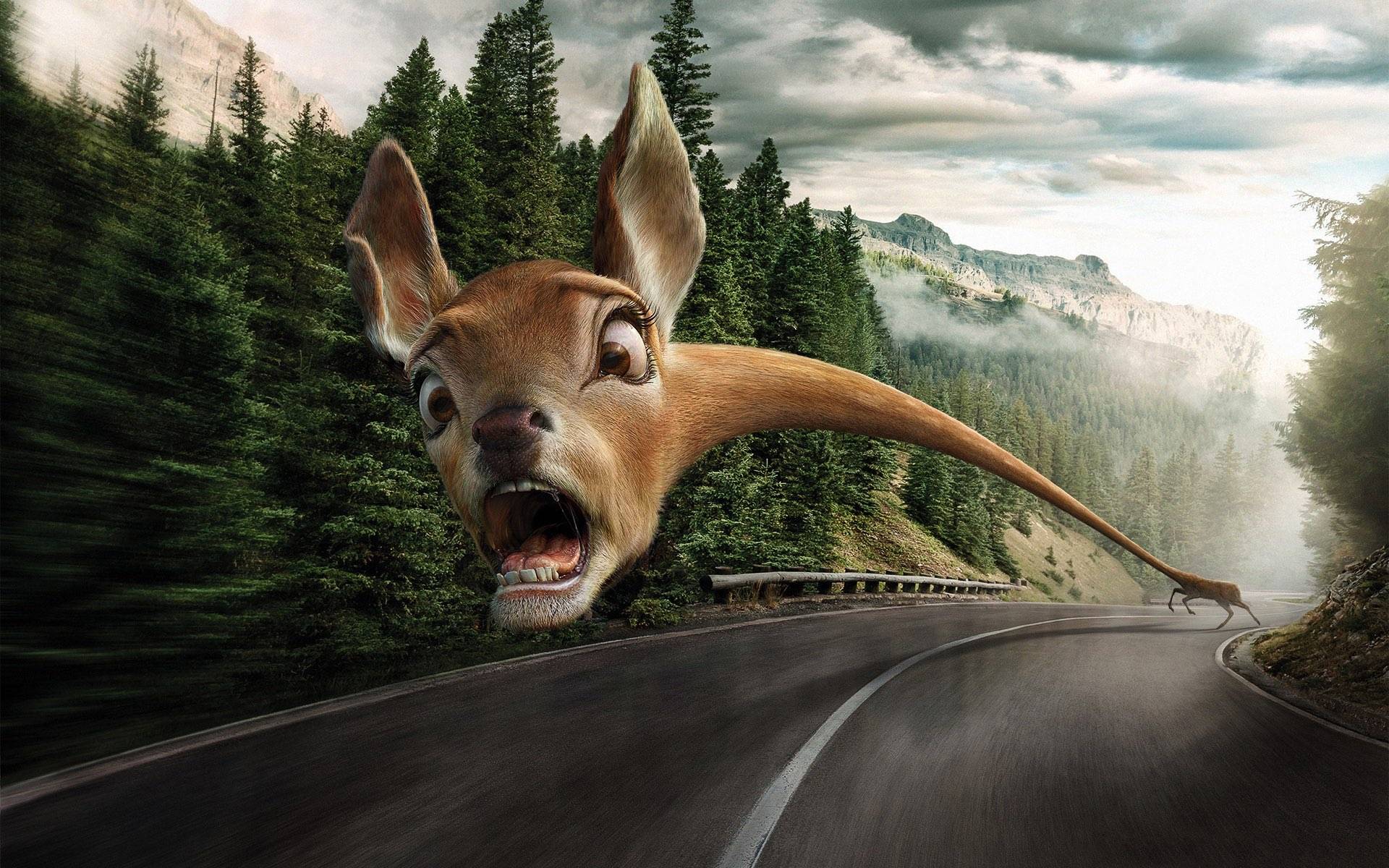 分享几张壁纸 - 华为mate10系列主题美化 花粉俱乐部