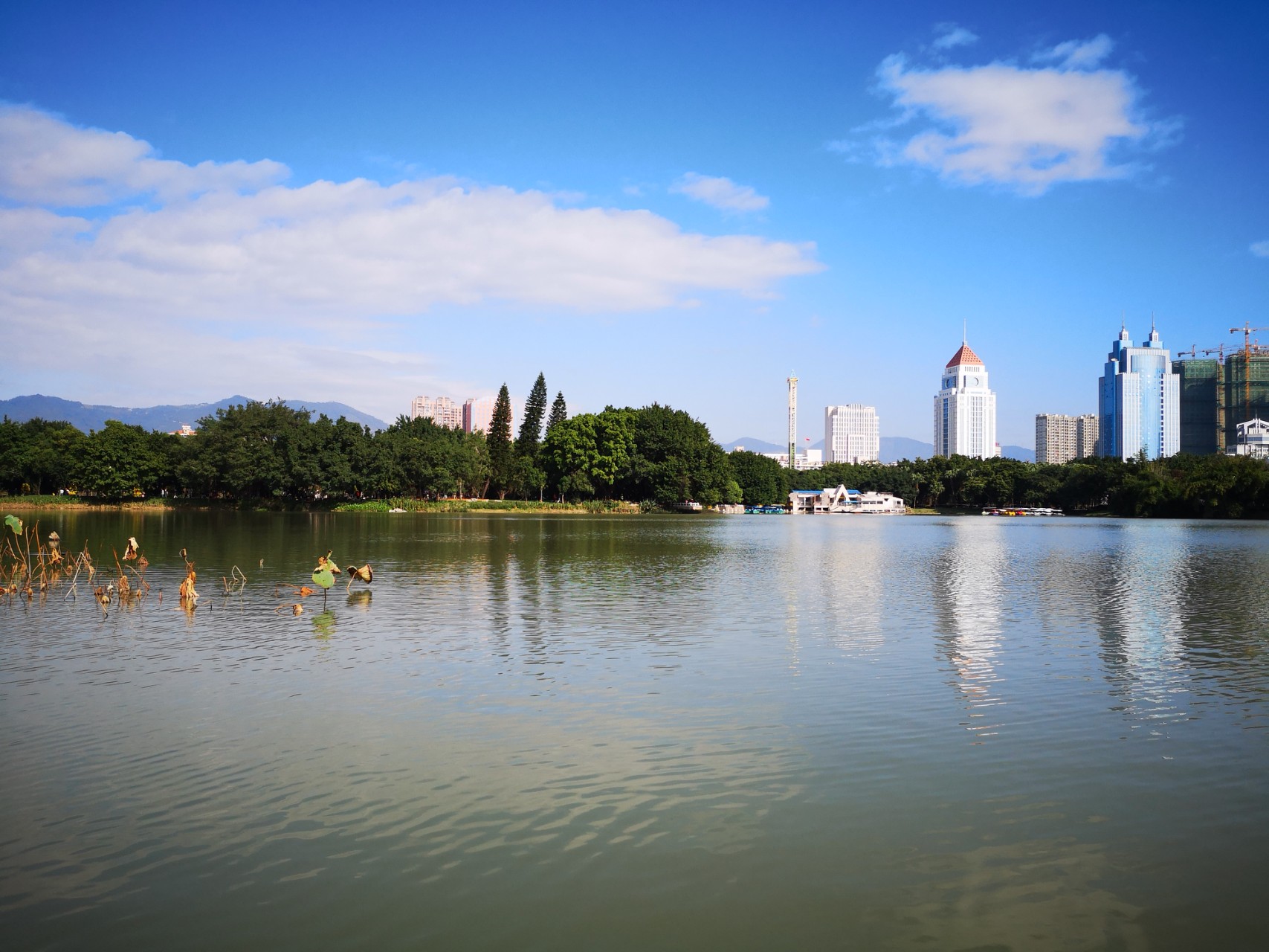 榕城福州#天气晴好,一起走进美丽的左海公园