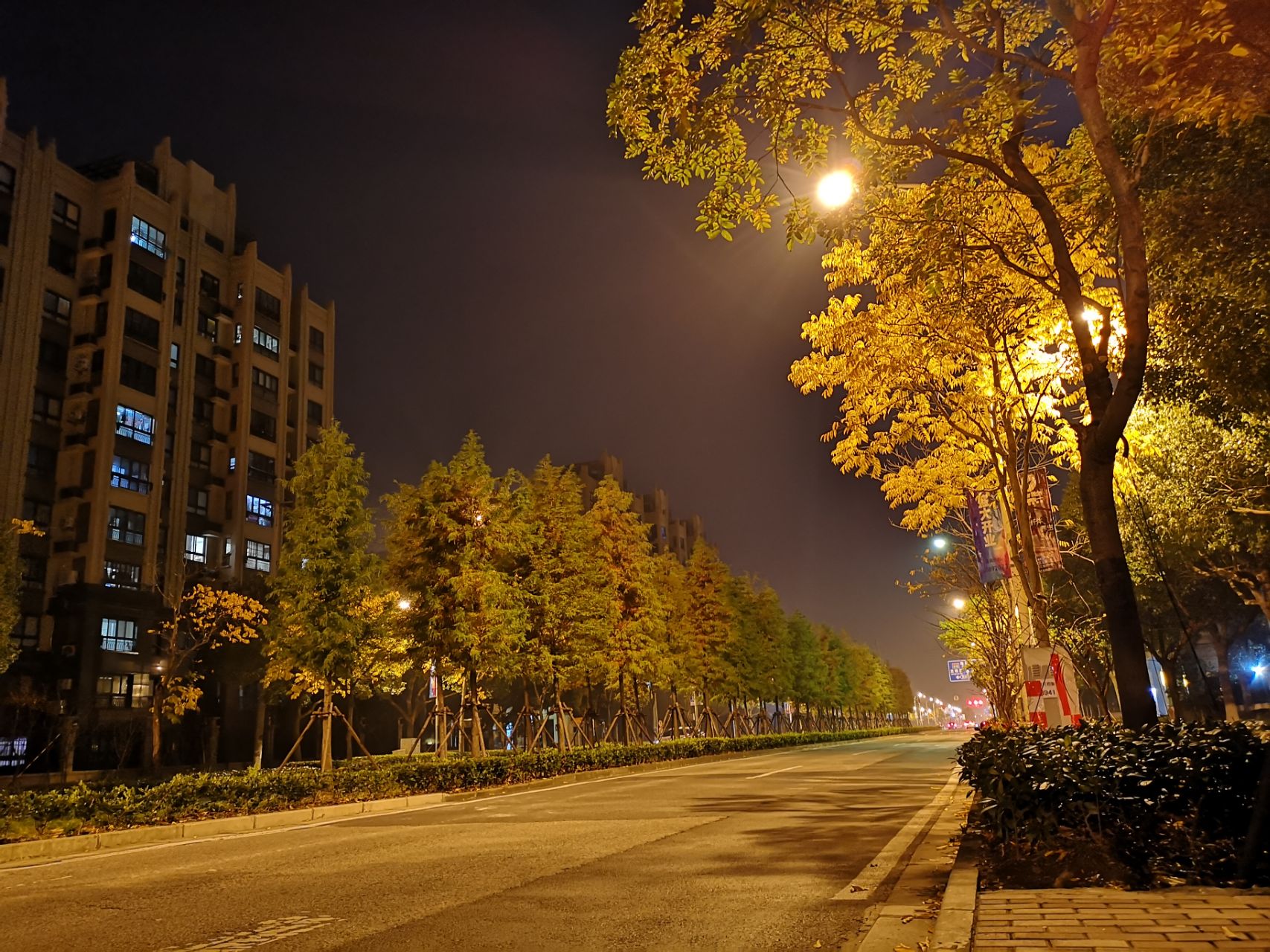 p20pro夜晚拍照严重晕光啊