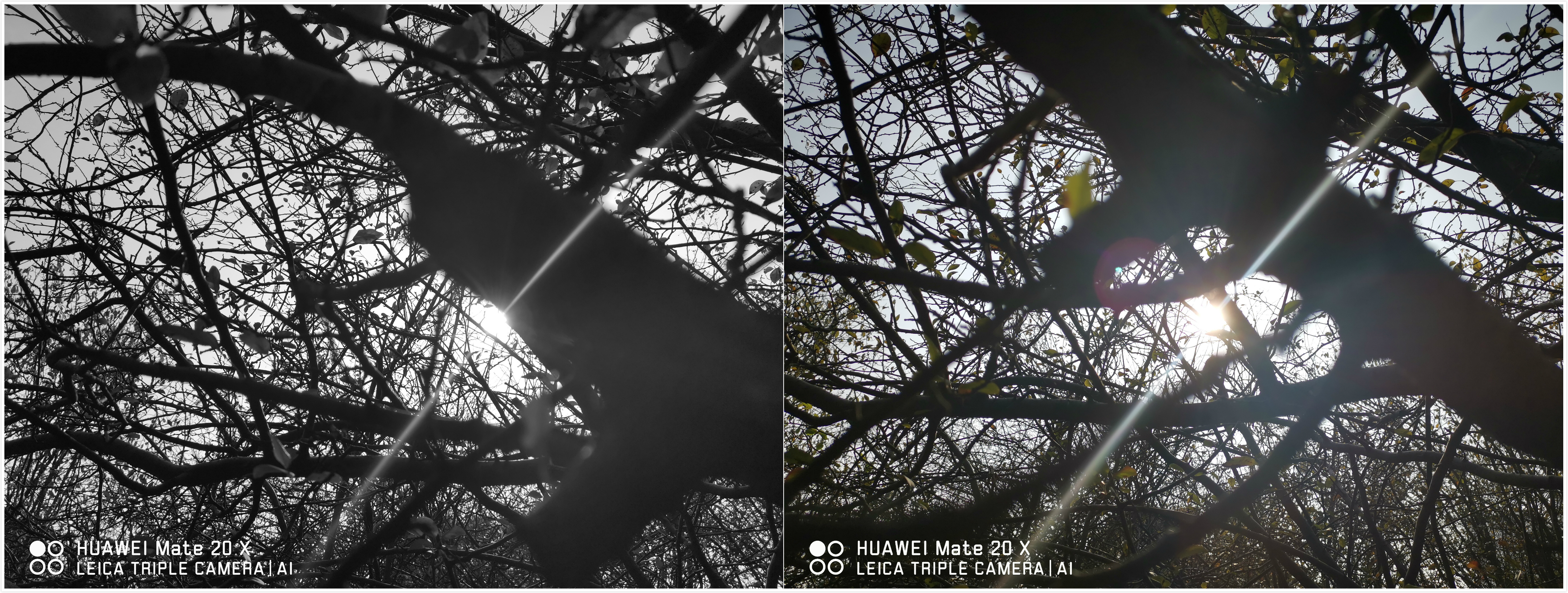 小白都能玩转的华为Mate20X--摄影就是这么简