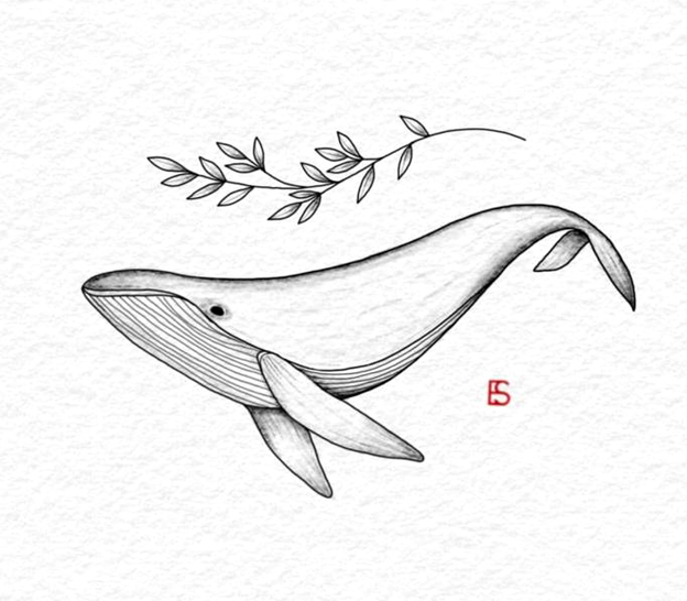 勾线笔画出的黑白小画