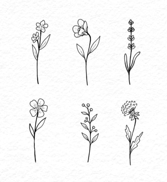 勾线笔画出的黑白小画