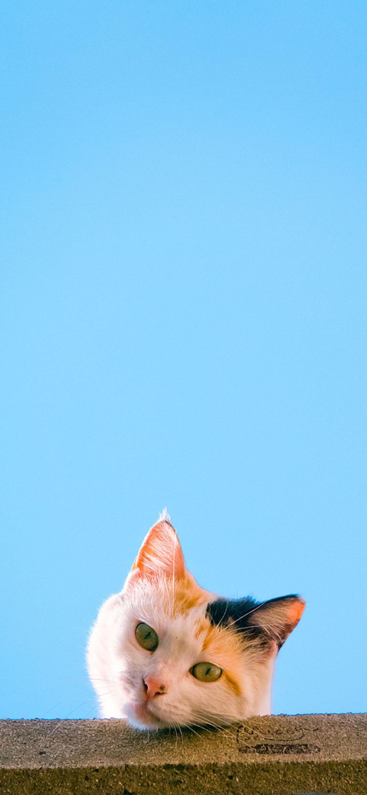 求点mate20pro好看的壁纸!