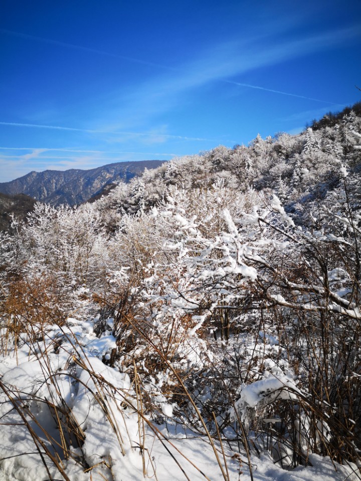 p20拍的一组雪景 - 华为p20系列分享交流 花粉俱乐部