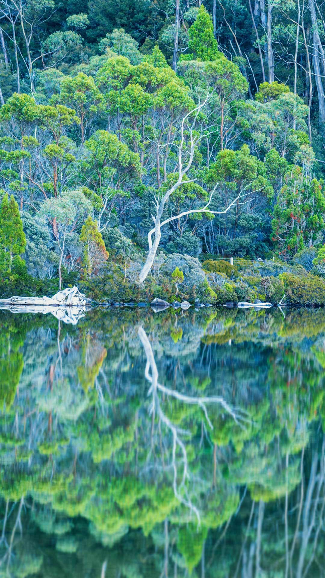 1080_1920竖版 竖屏