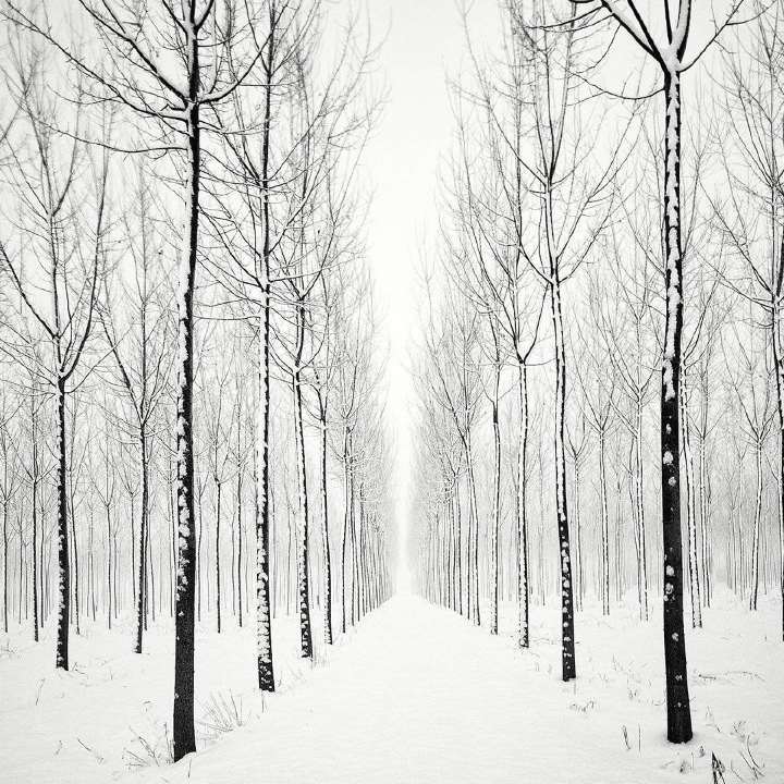 黑白雪景,空茫的美感 .|摄影师 pierre pellegrini