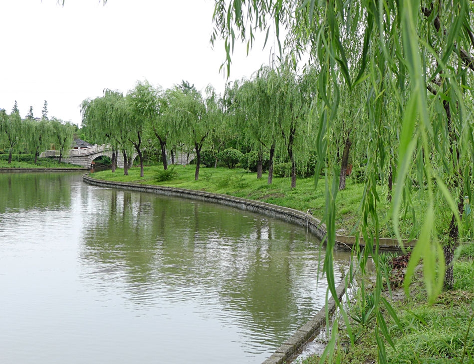 且将新火试新茶,诗酒趁年华!