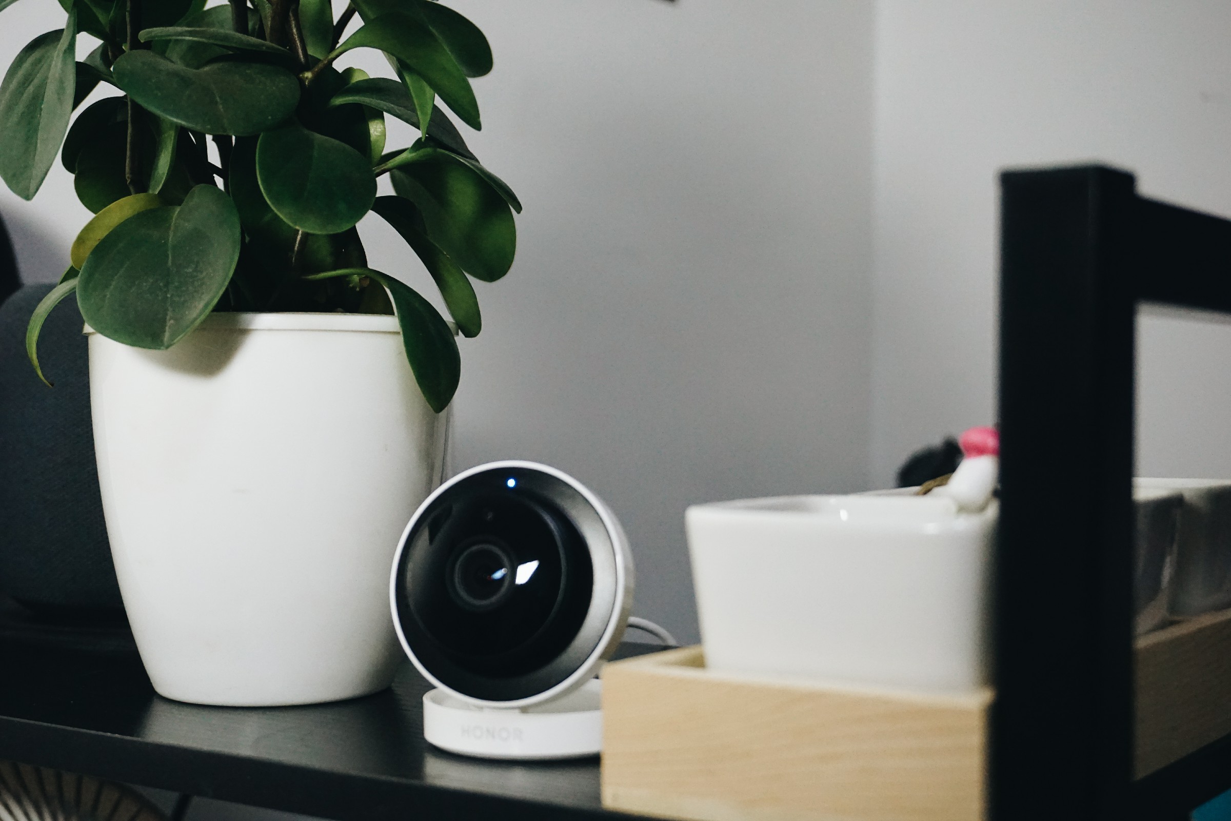 软件使用体验——荣耀小哨兵智能摄像机