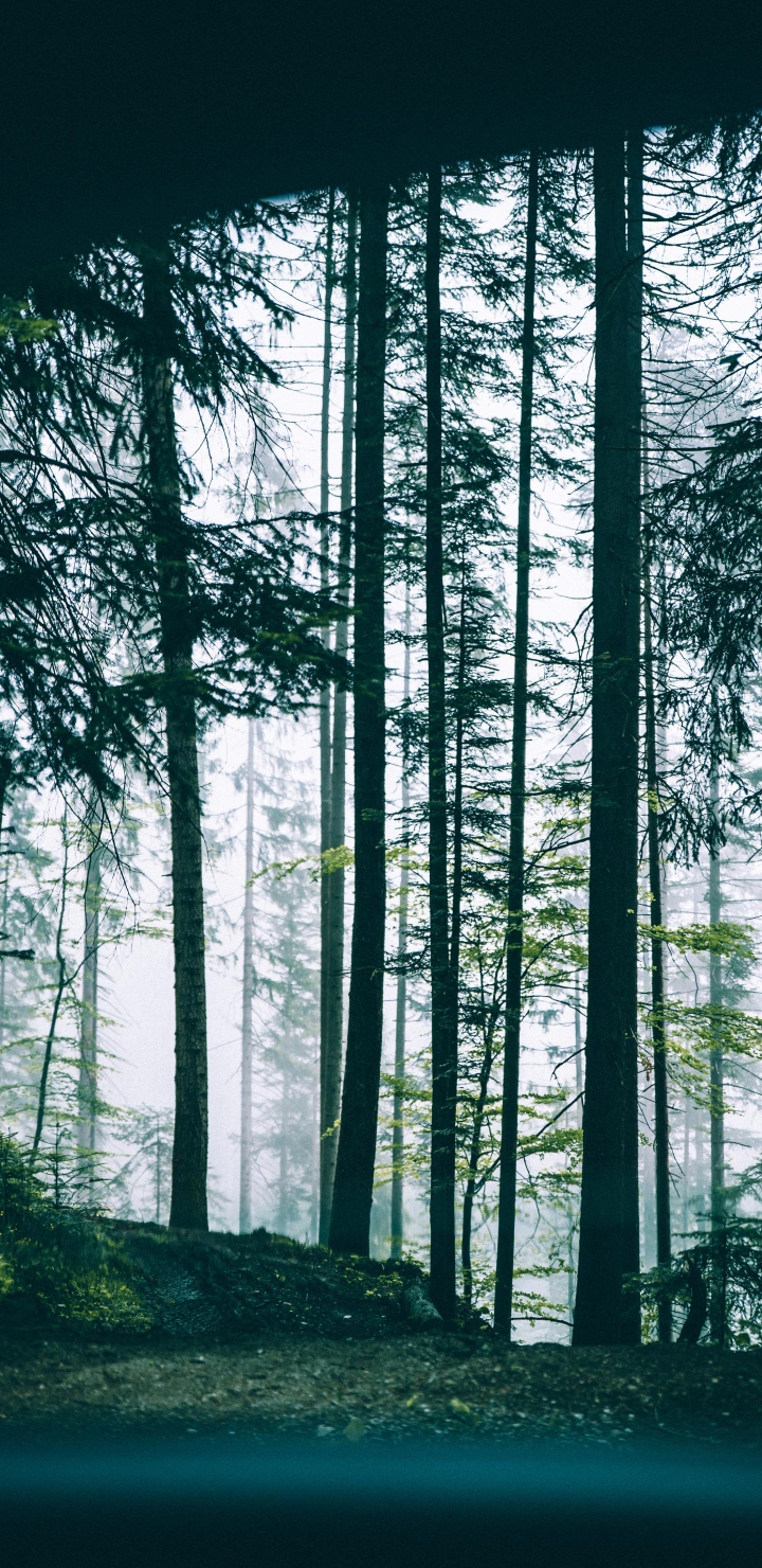 /storage/emulated/0/bcoder_wallpaper/8974_2960x1440.