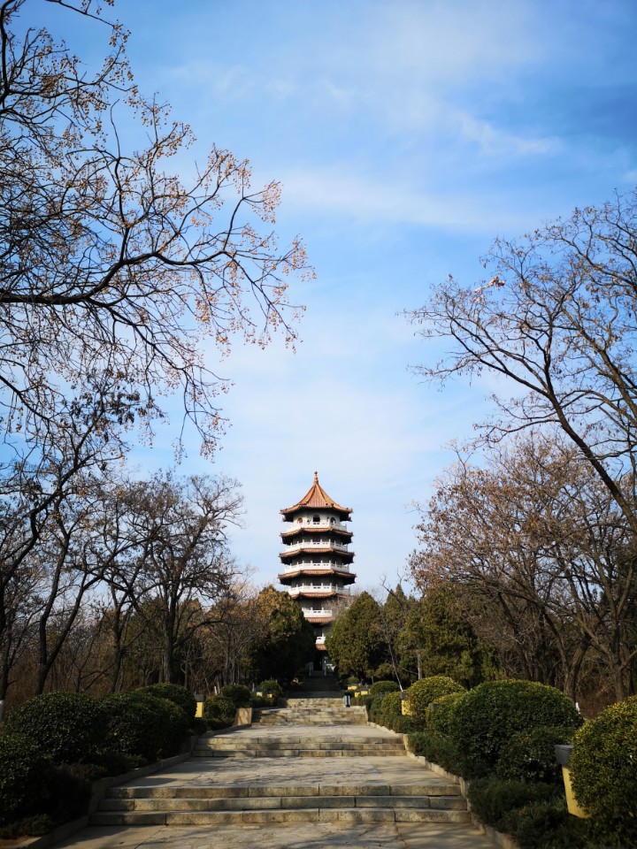 /storage/emulated/0/dcim/camera/img_20190307_144231.