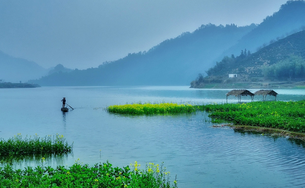 发一组照片,看看华为p20pro的强大!