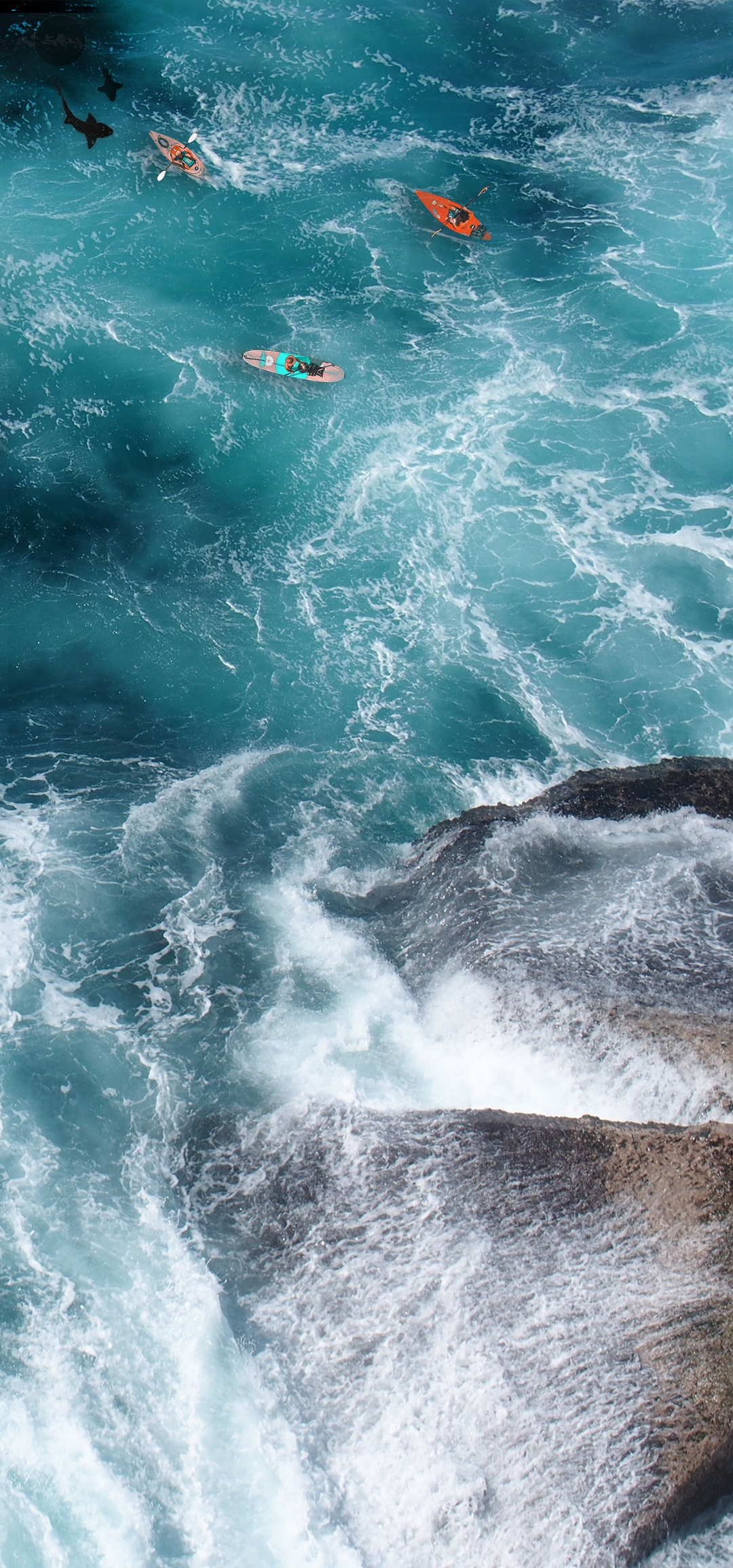 1080_2310竖版 竖屏