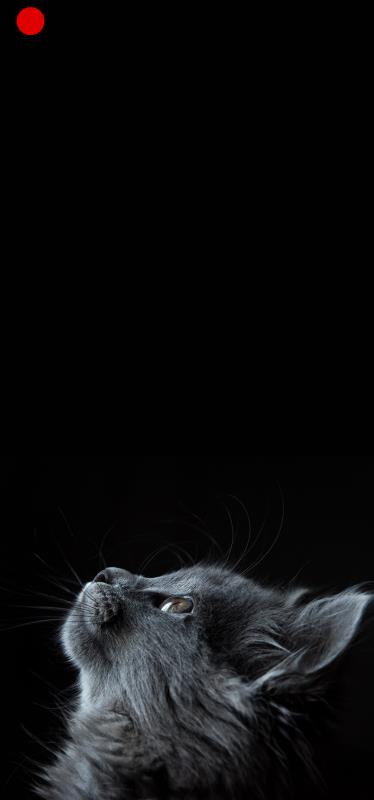 设计大赛 | 华南理工大学万元大奖征集荣耀v20魅眼壁纸