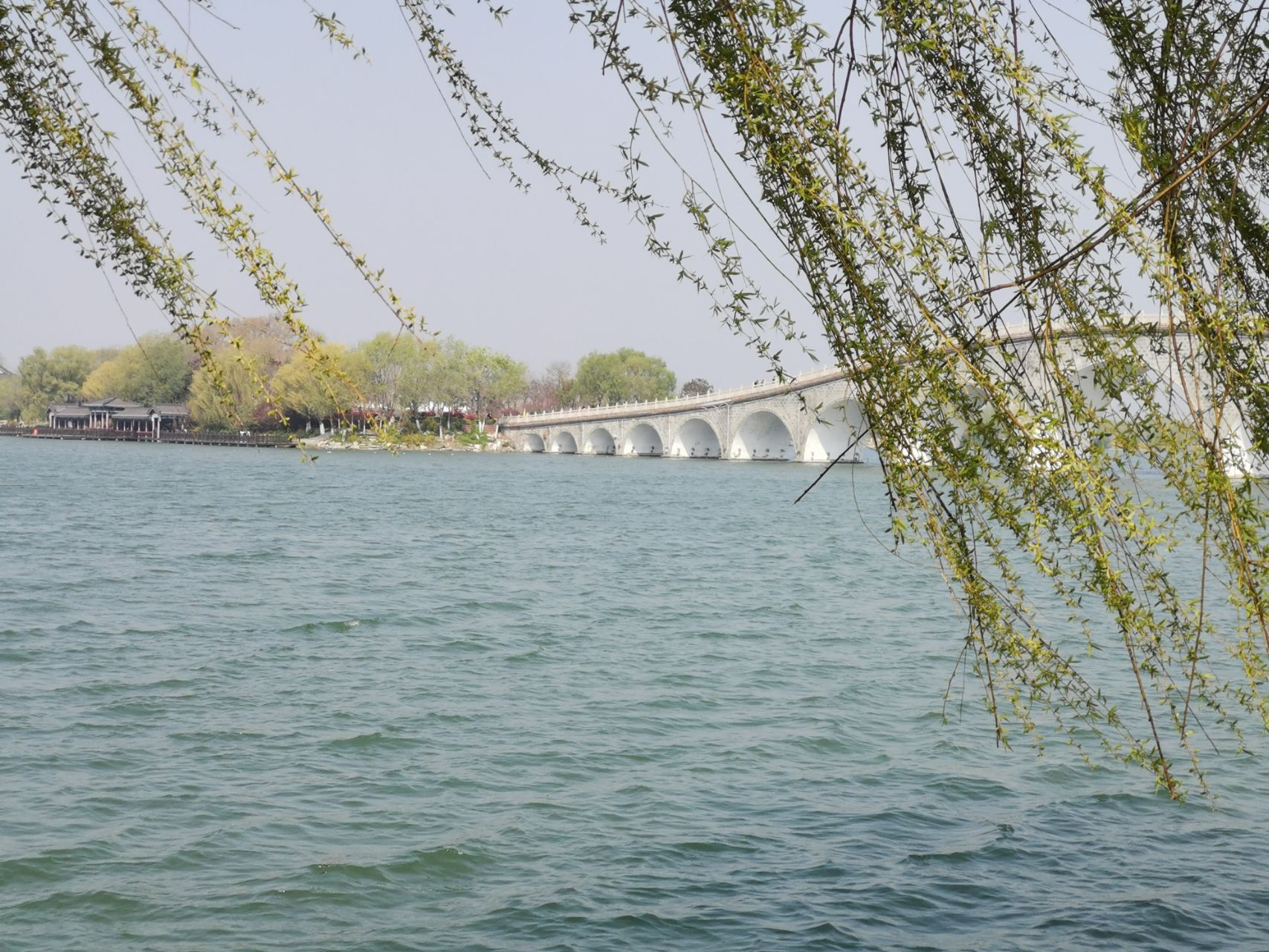 吹面不寒杨柳风