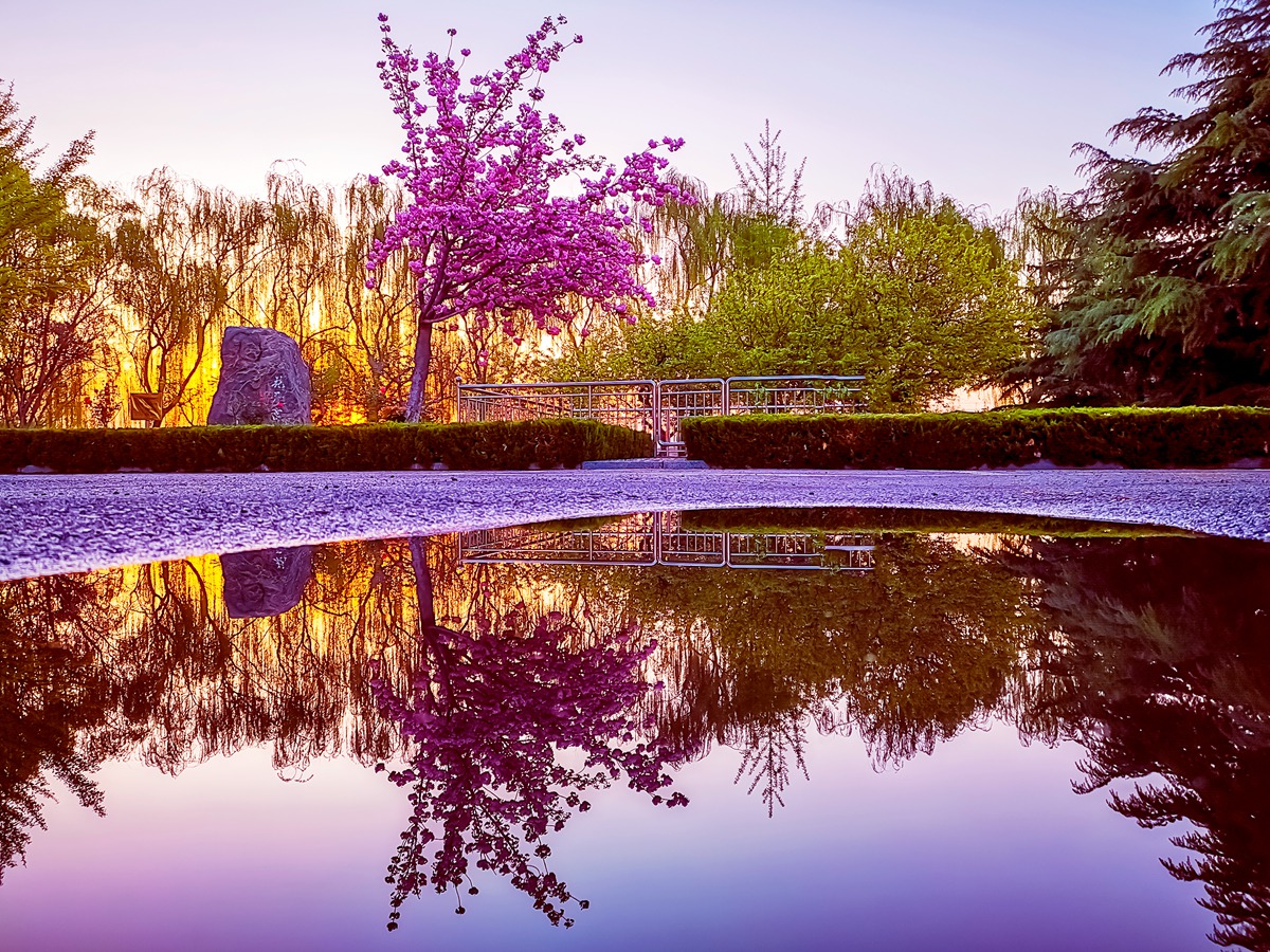 一抹温暖的晨曦一个雨后美丽的早晨