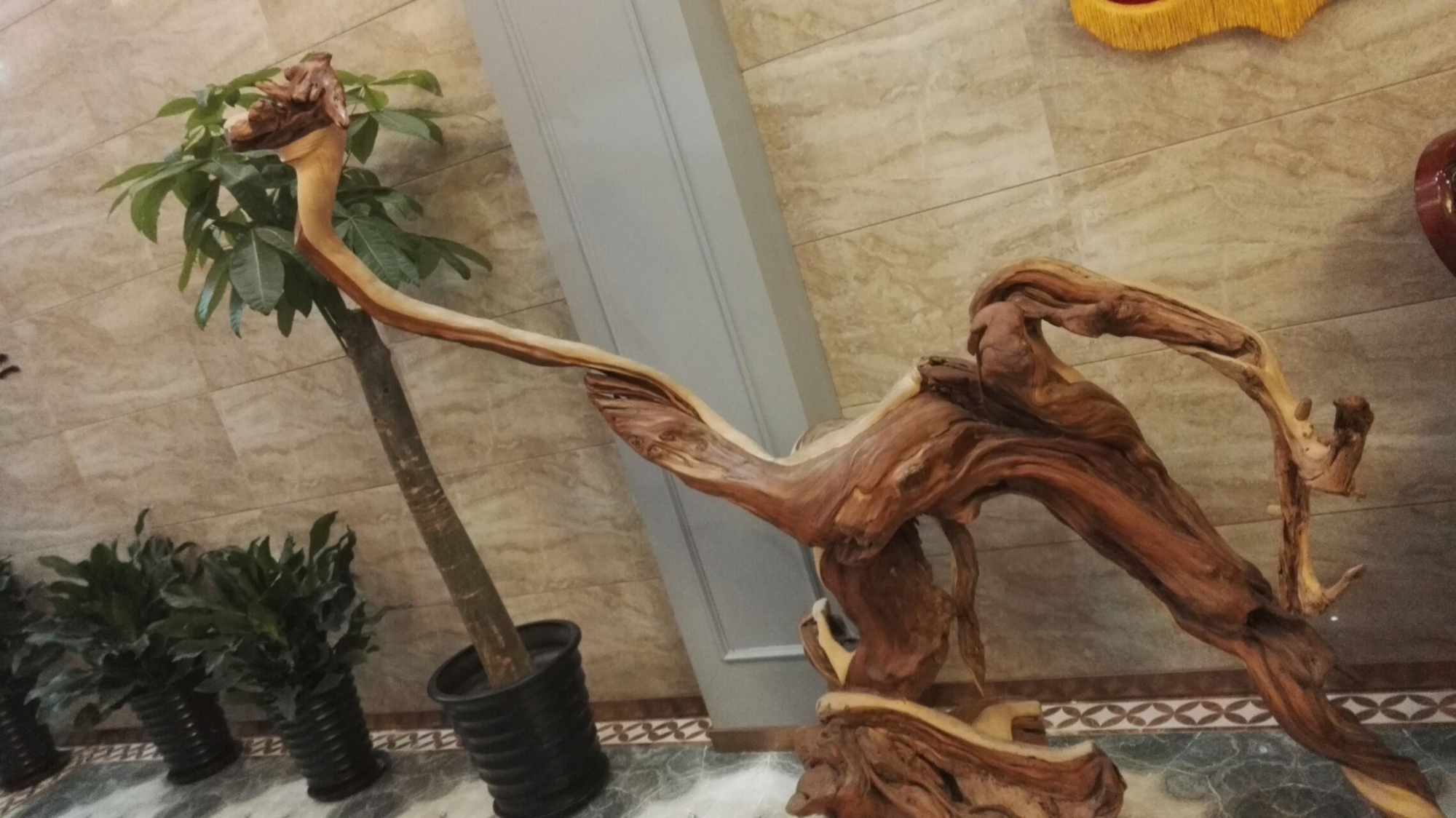 一个树根,经浸泡,晾晒,打磨,涂油后形成似鸟非鸟的艺术品,很好看.
