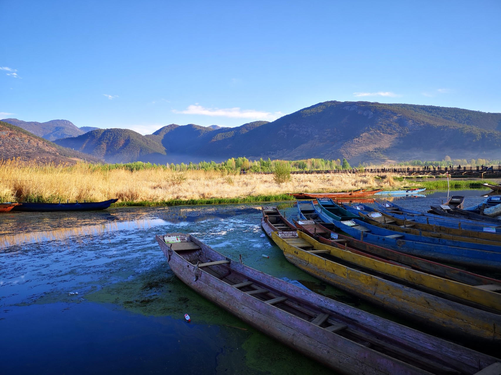 云南游记-草海走婚桥