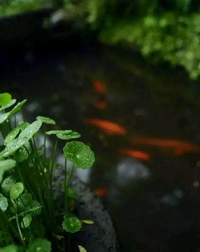 随和是一种能力