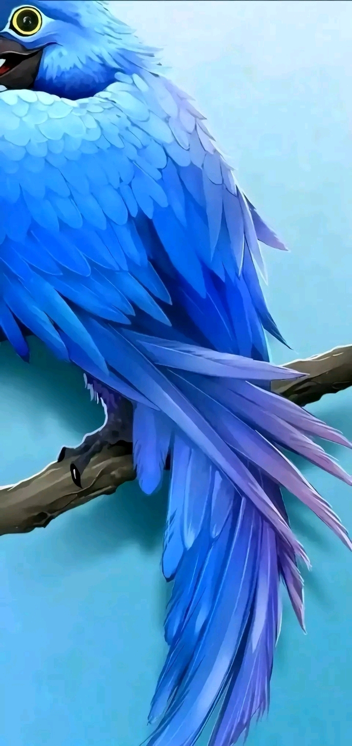 荣耀v20壁纸分享