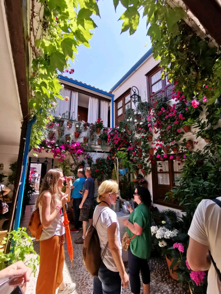 科尔多瓦的庭院节