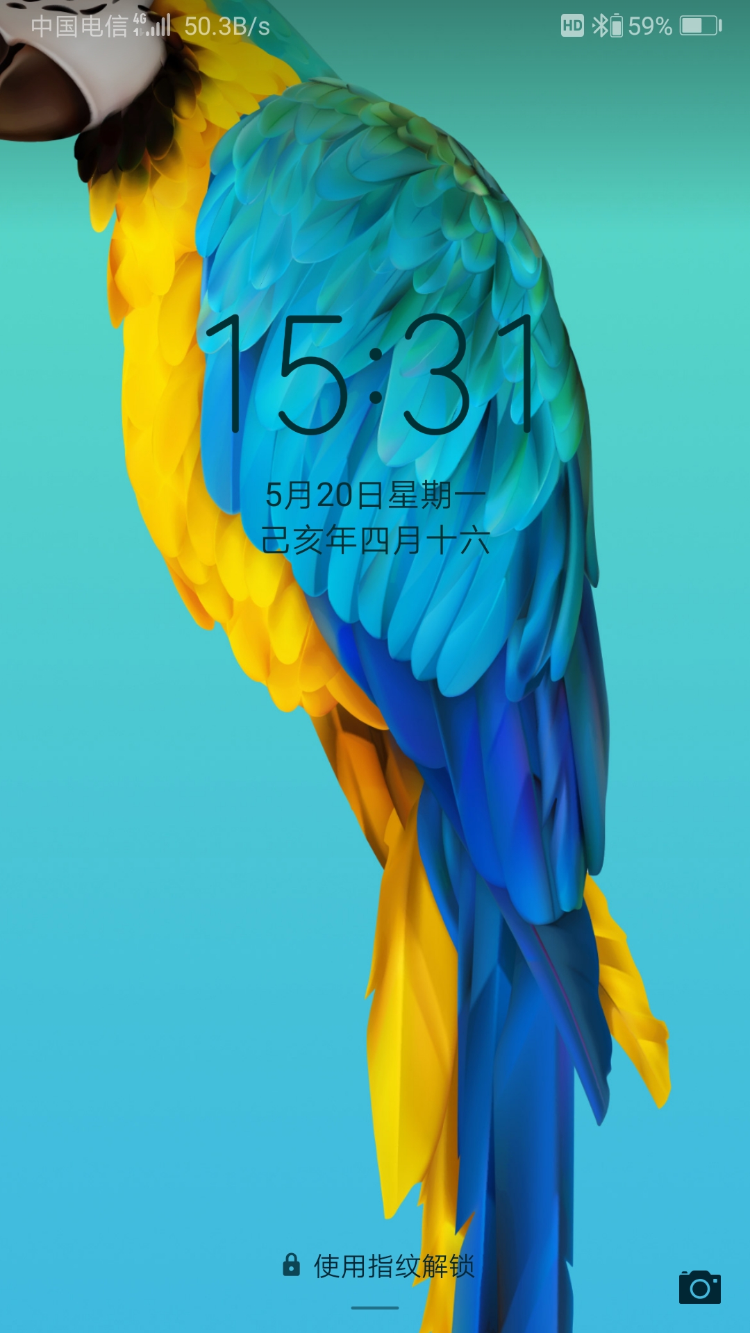 分享个主题,扁平圆形,图标好看,主题商店貌似下