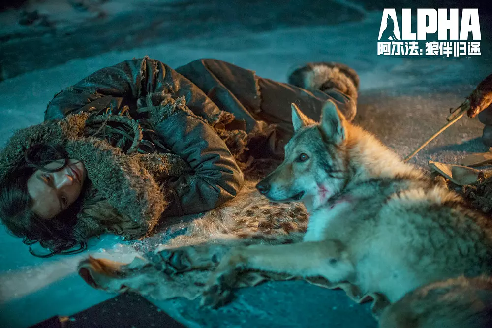 学习在荒野中独自生存,但挑剔的观众将被其壮观的电影和技术魔术迷住