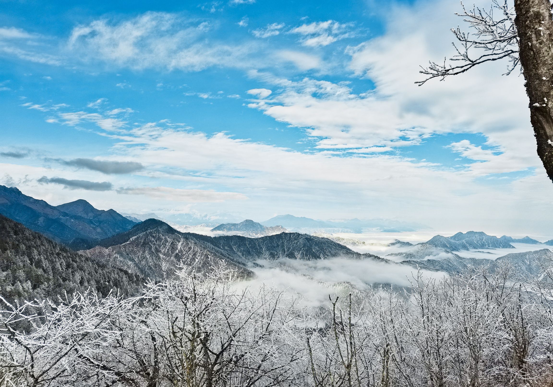 西岭飘雪图片