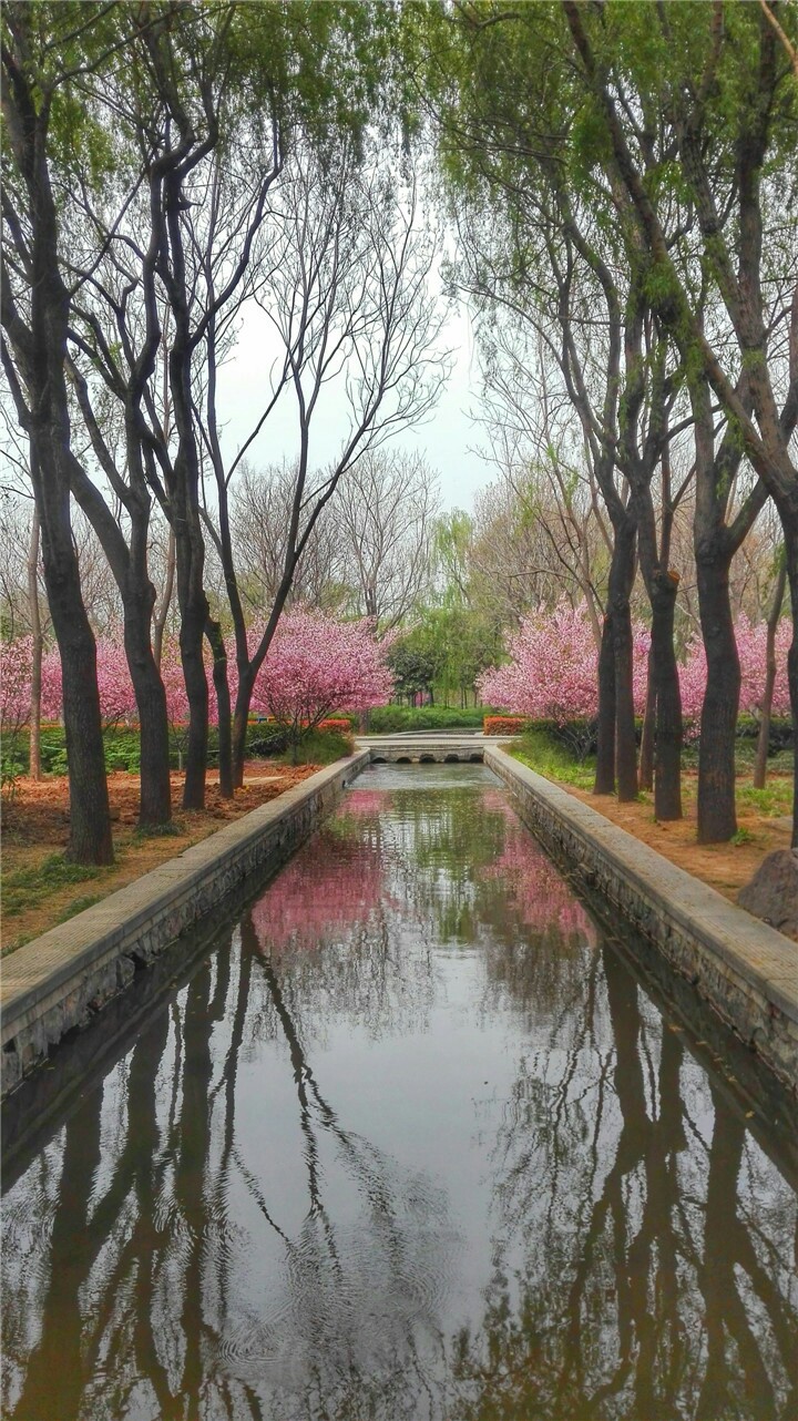 洛阳隋唐遗址植物园图片